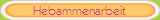 Hebammenarbeit